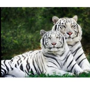 Meet your Posher, Ramon